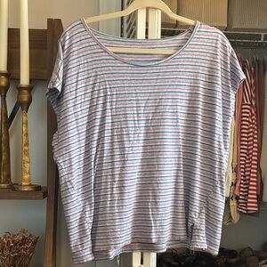 Gap Striped Blue and Pink Top
